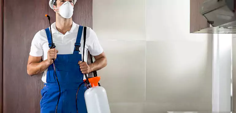Why Pomona Homeowners Choose Us When Pests Make Selling Difficult